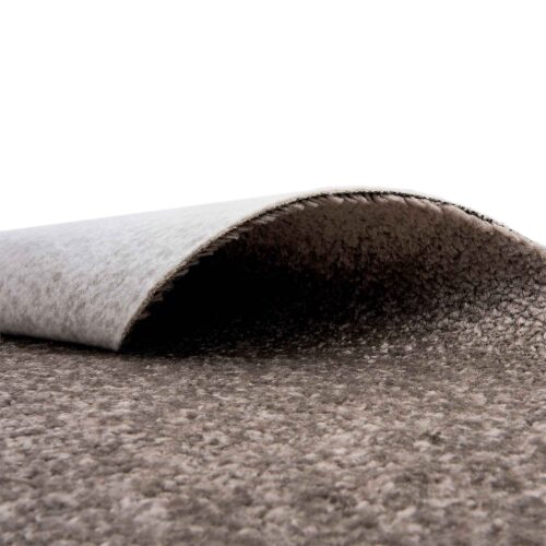 Alternative view of Saturnalia 92