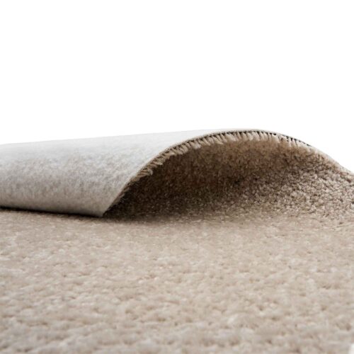 Alternative view of Saturnalia 91