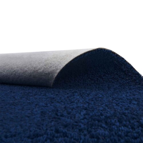 Alternative view of Saturnalia 84