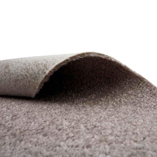 Alternative view of Saturnalia 73