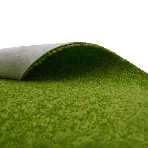 Alternative view of Saturnalia 41