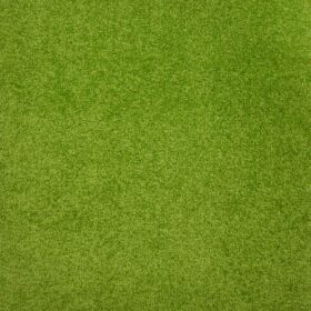 Saturnalia_0076_41-2