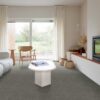 DYNASTY ELBURG2 - Zemincim.com