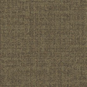 zemincim_0003_DUNE_831_50x50_A