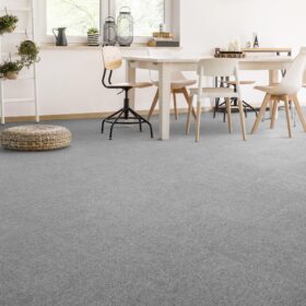 _0002_Diva_7071_950_01