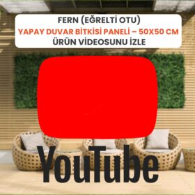 Fern (Eğrelti Otu)