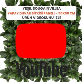 Yeşil Bougainvillea