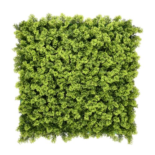 Houttuynia Cordata Yapay Duvar Bitkisi 50x50 Panel