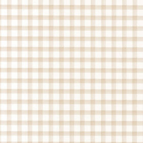 G45103(large)