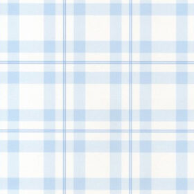 G45107(large)