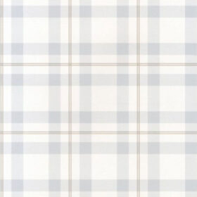 G45108(large)