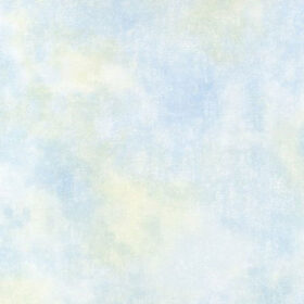 G45111(large)