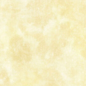 G45112(large)