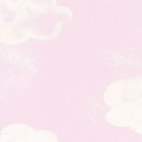G45114(large)