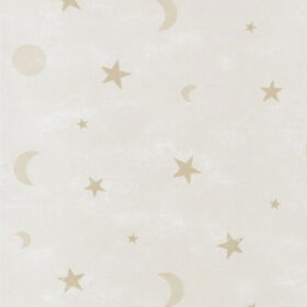 G45137(large)