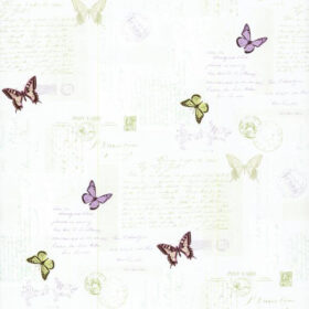 PA110502ex
