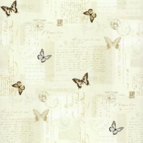 PA110505ex