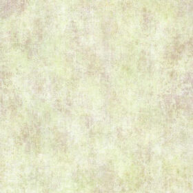 PA111102ex