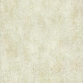 PA111106ex